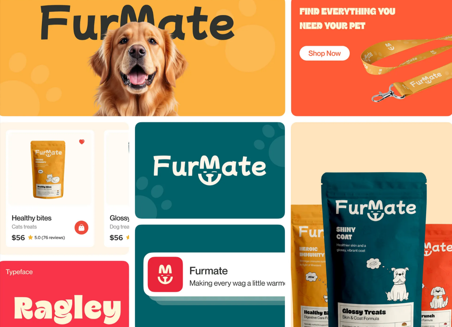 Création de brand identity agence web
